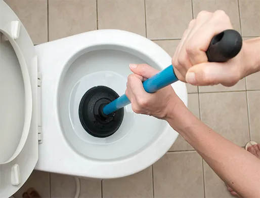 Como Desentupir Vaso Sanitário em Mongaguá